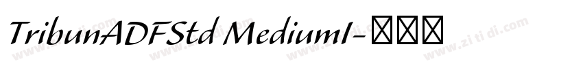 TribunADFStd MediumI字体转换